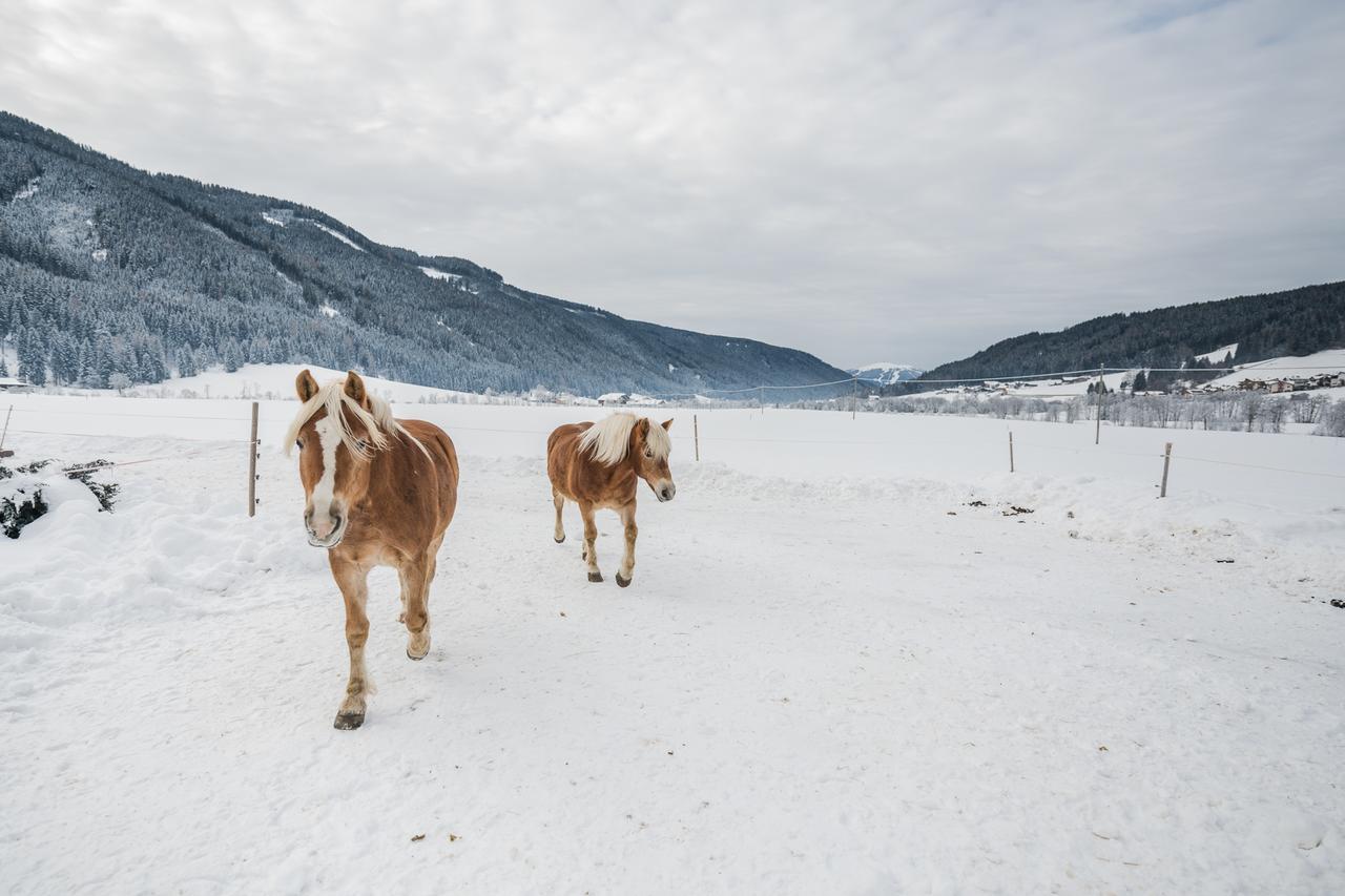 Pichlerhof Apartment Planca di Sopra ภายนอก รูปภาพ