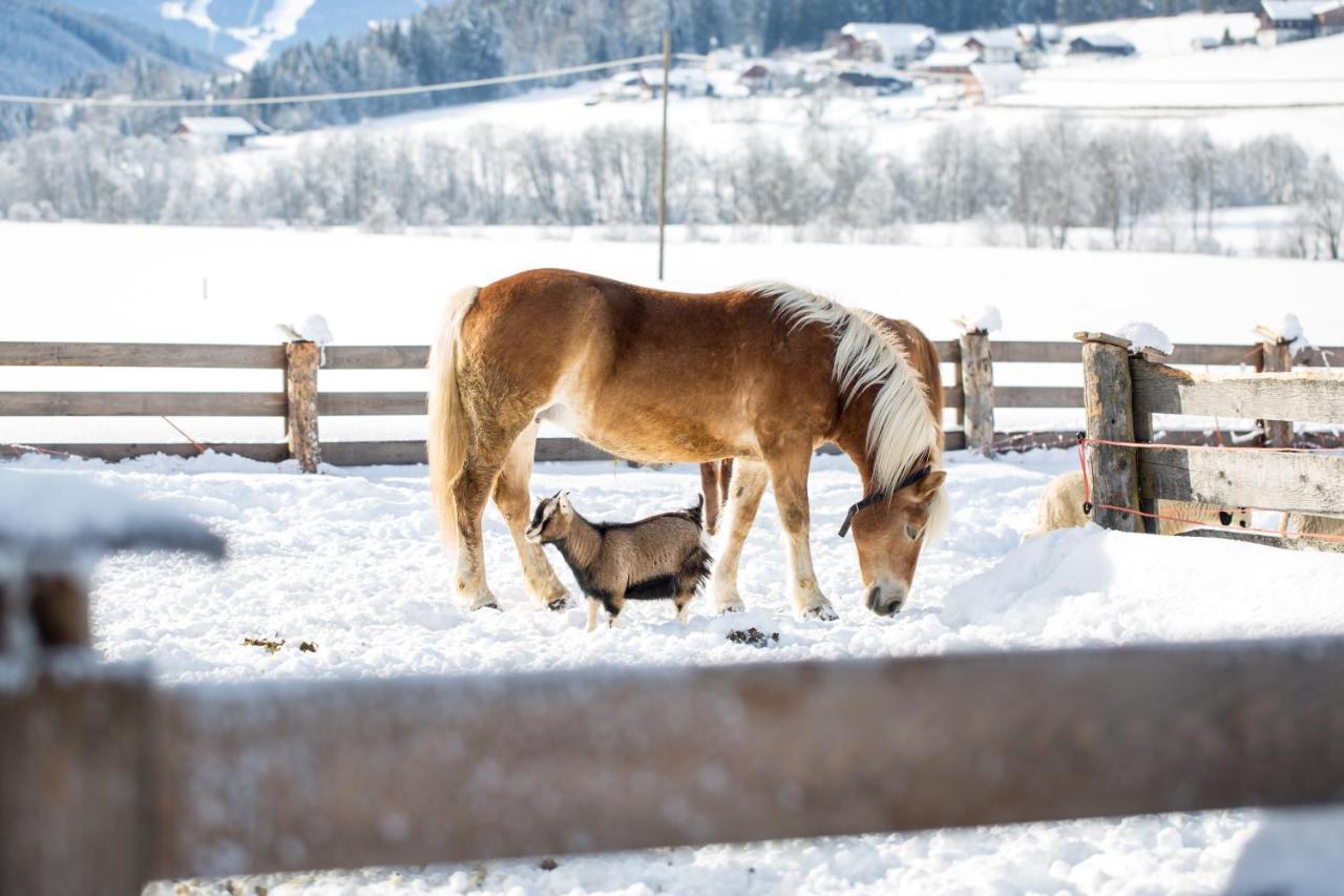 Pichlerhof Apartment Planca di Sopra ภายนอก รูปภาพ